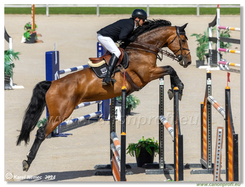 Grand Prix Equistyle - 145 cm