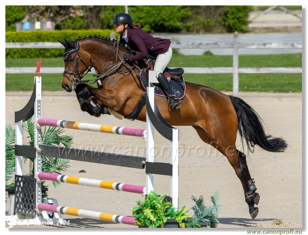 Grand Prix Equistyle - 145 cm