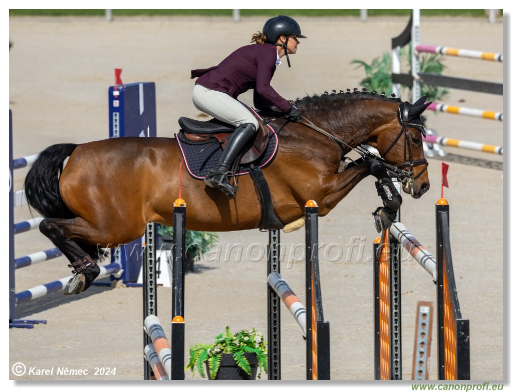 Grand Prix Equistyle - 145 cm