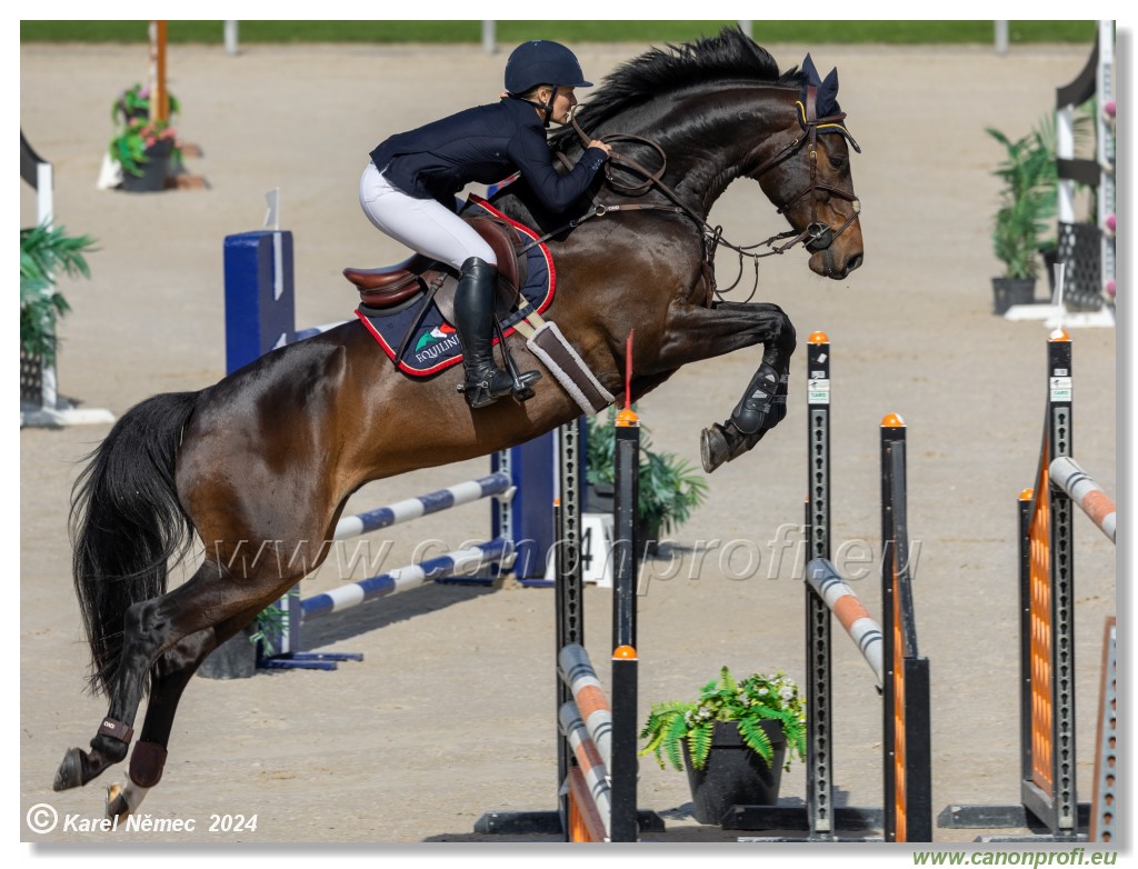 Grand Prix Equistyle - 145 cm