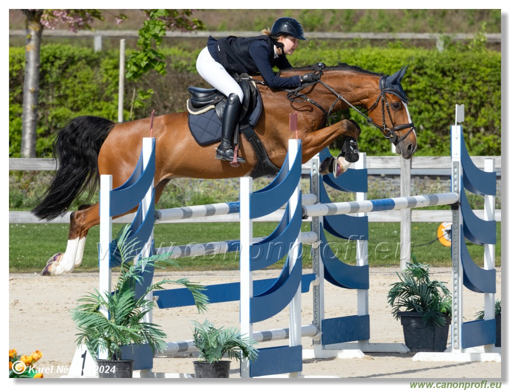 Grand Prix Equistyle - 145 cm