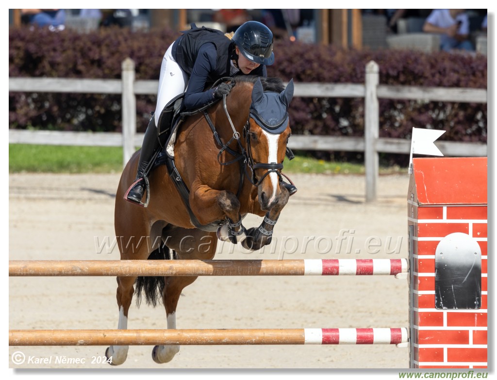 Grand Prix Equistyle - 145 cm