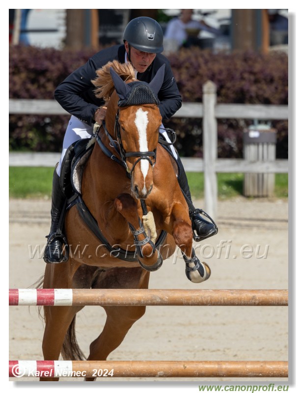 Grand Prix Equistyle - 145 cm