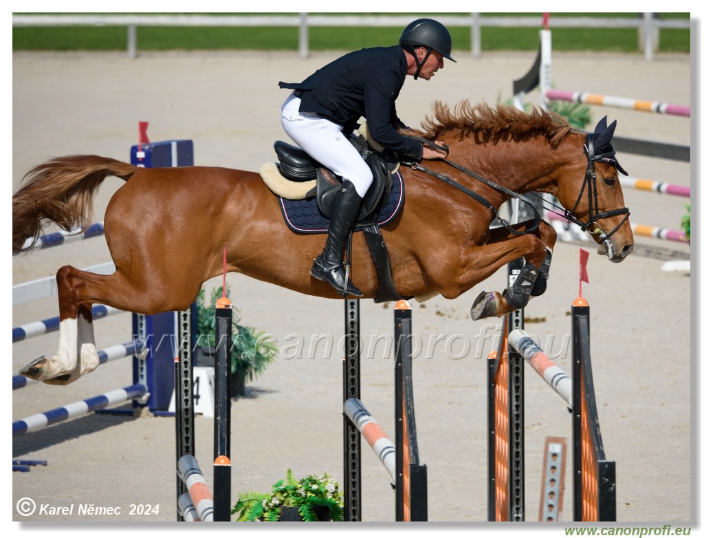 Grand Prix Equistyle - 145 cm