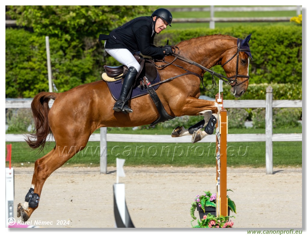 Grand Prix Equistyle - 145 cm