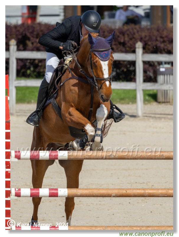 Grand Prix Equistyle - 145 cm