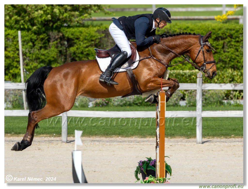 Grand Prix Equistyle - 145 cm
