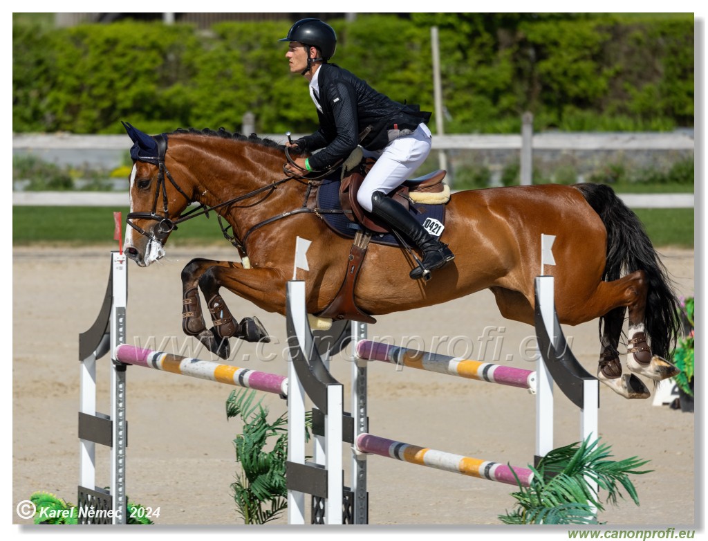 Grand Prix Equistyle - 145 cm