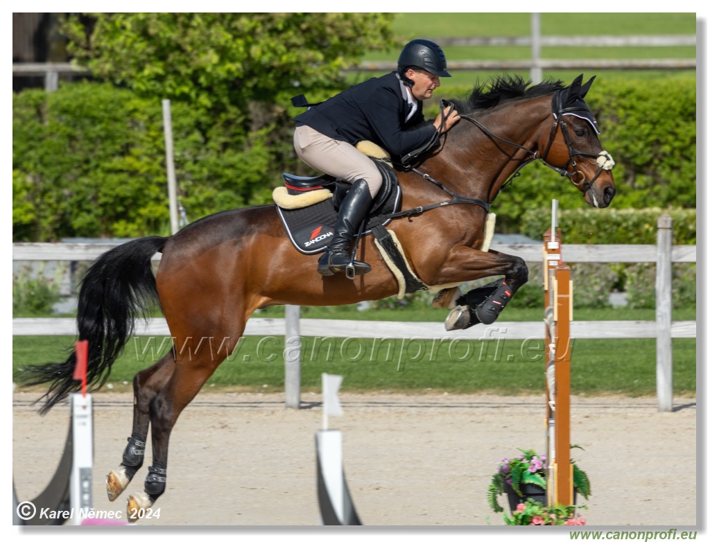 Grand Prix Equistyle - 145 cm