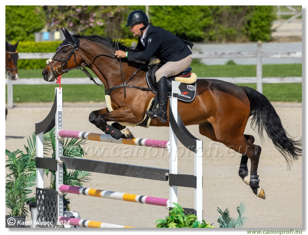 Grand Prix Equistyle - 145 cm