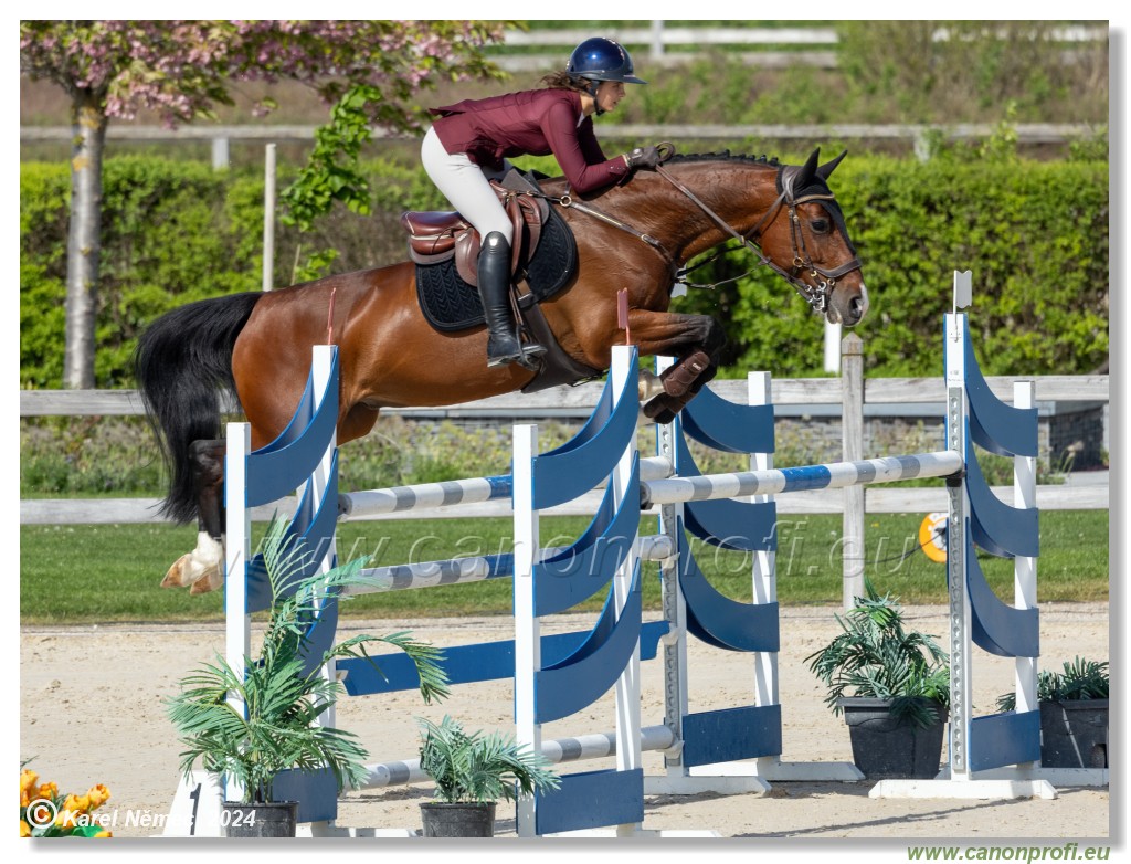 Grand Prix Equistyle - 145 cm