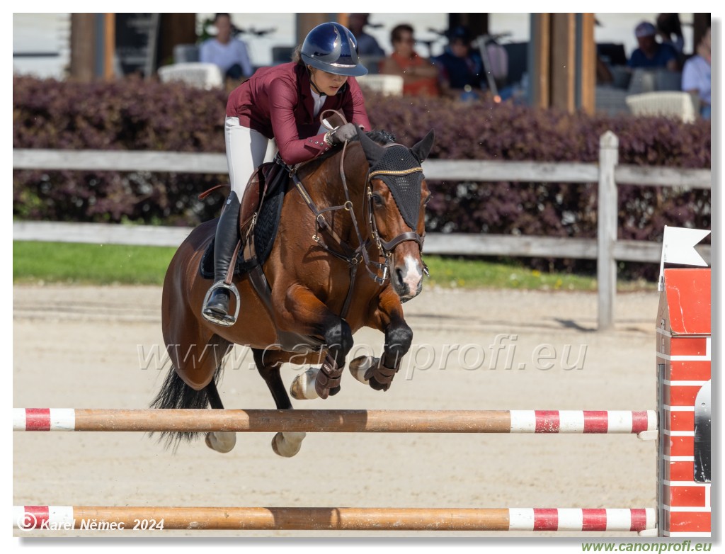 Grand Prix Equistyle - 145 cm