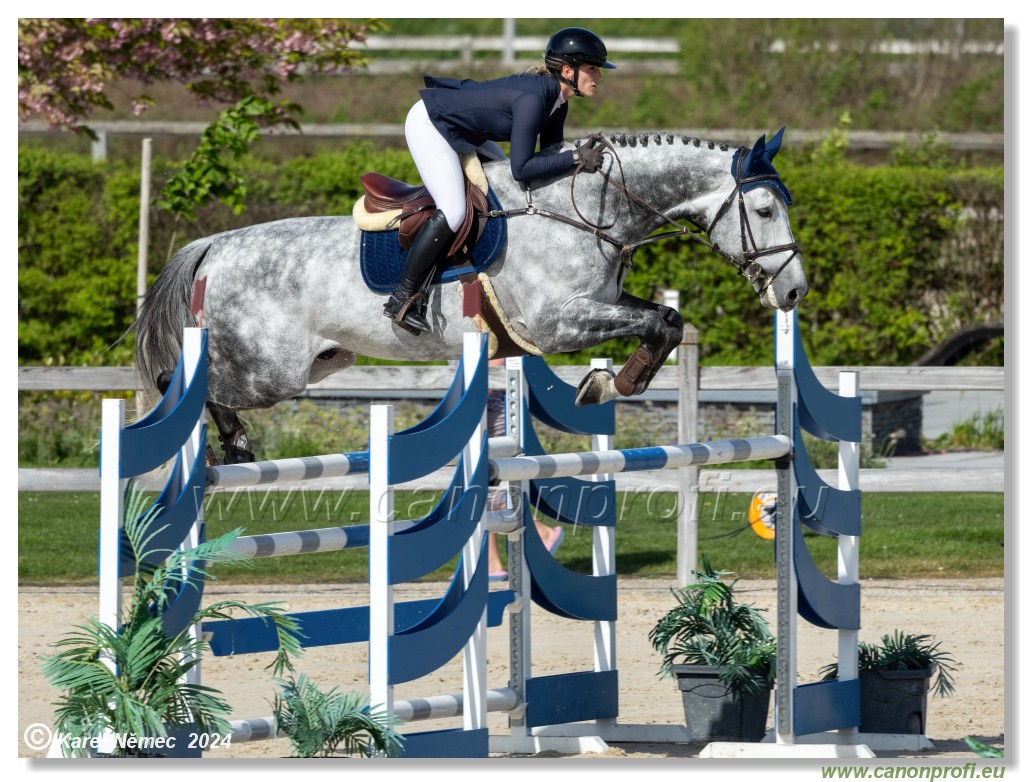 Grand Prix Equistyle - 145 cm
