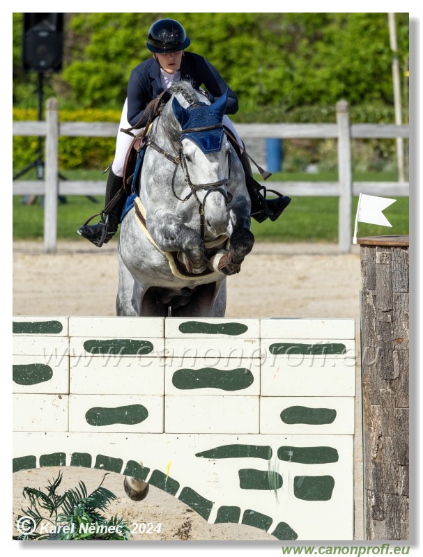 Grand Prix Equistyle - 145 cm