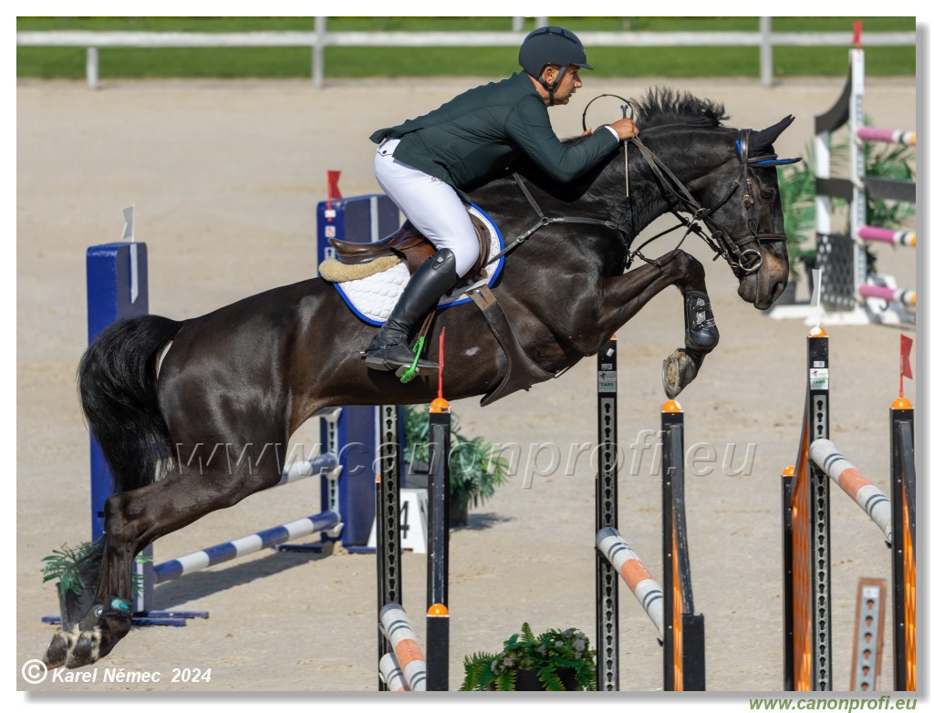 Grand Prix Equistyle - 145 cm