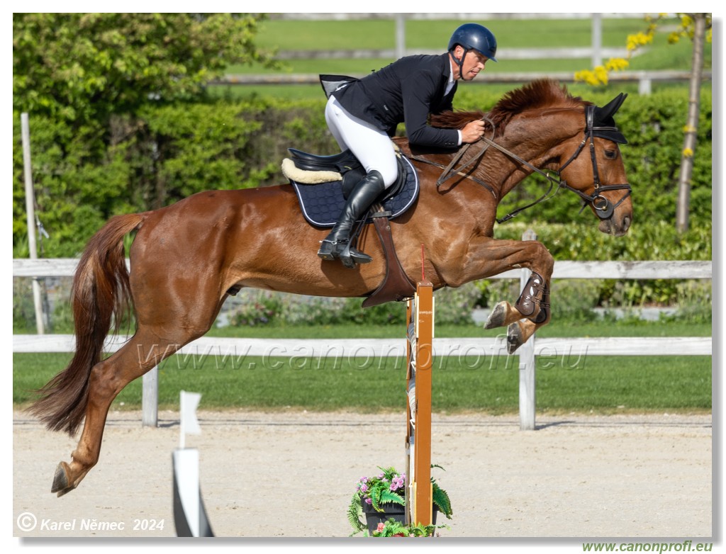 Grand Prix Equistyle - 145 cm