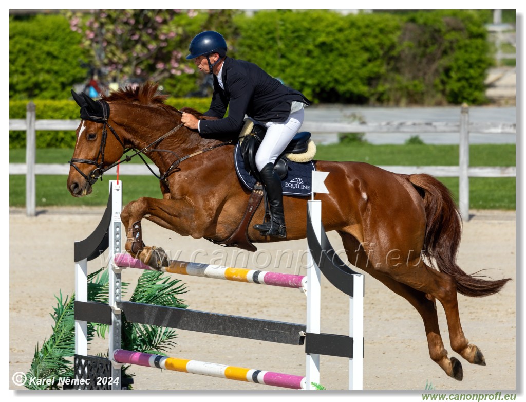 Grand Prix Equistyle - 145 cm