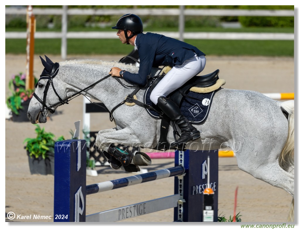 Grand Prix Equistyle - 145 cm