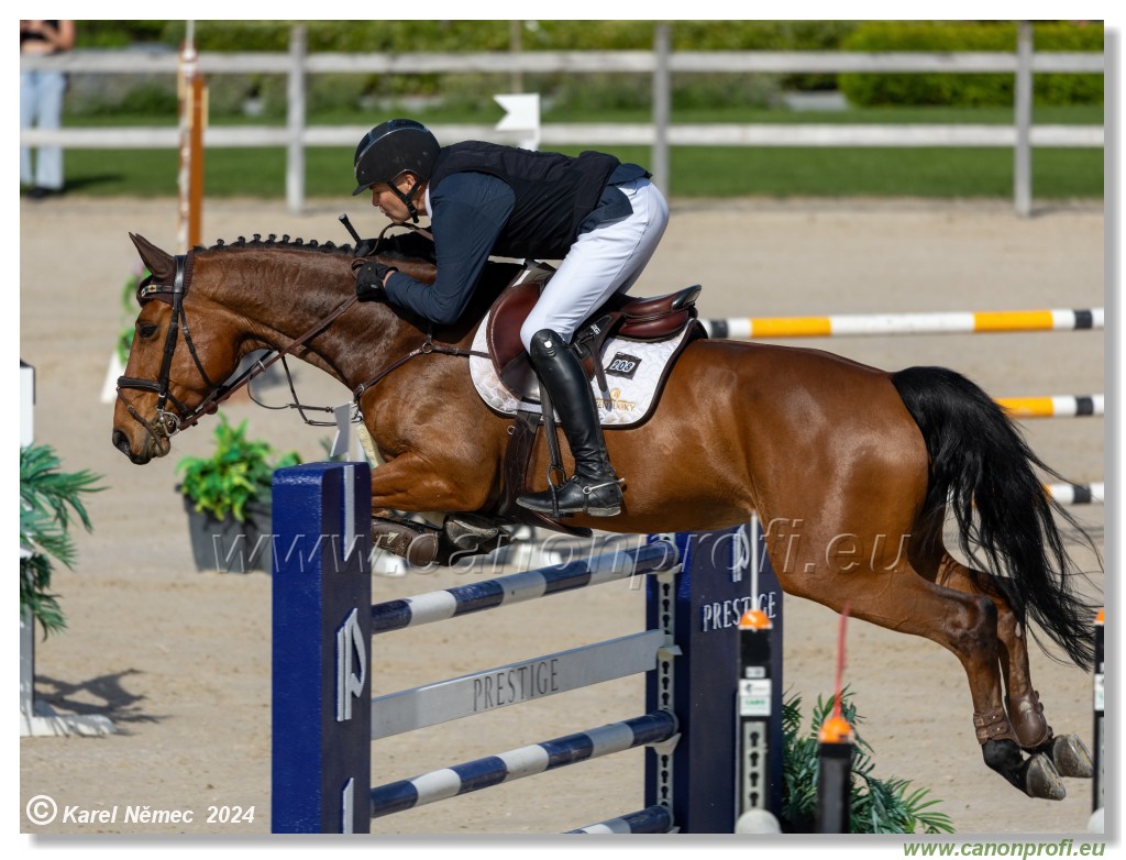 Grand Prix Equistyle - 145 cm