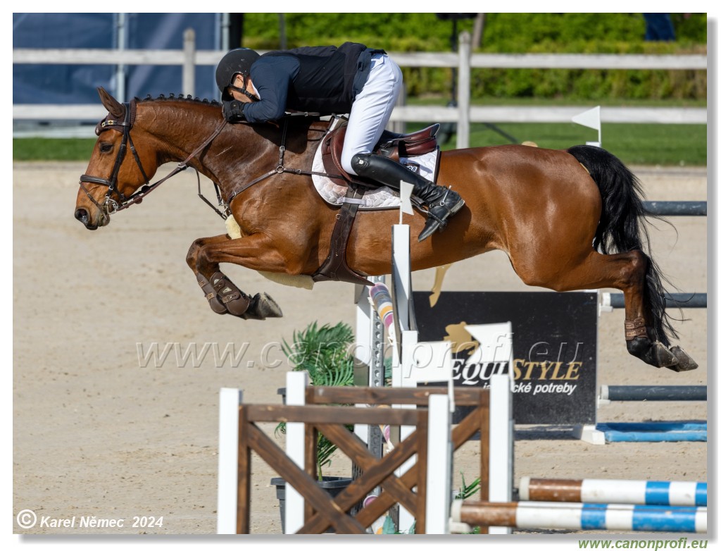 Grand Prix Equistyle - 145 cm