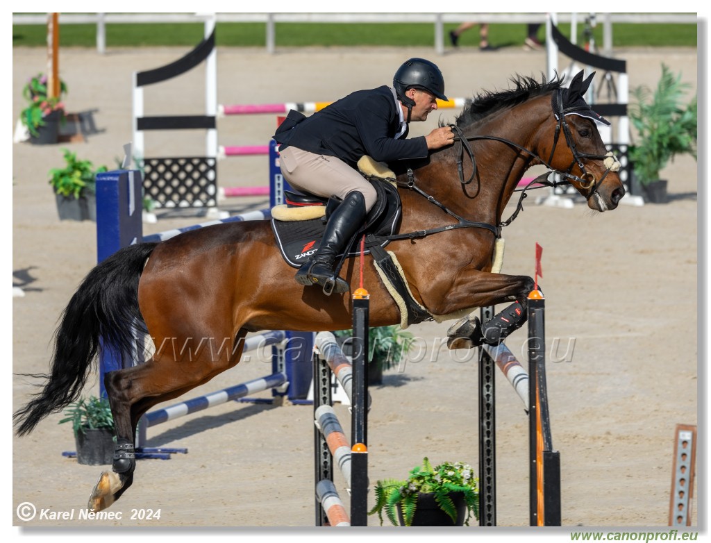 Grand Prix Equistyle - 145 cm