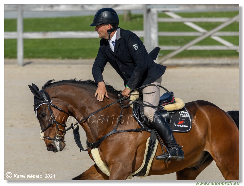 Grand Prix Equistyle - 145 cm