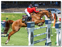 Danube Equestrian Festival - CSIO3* Gold Tour