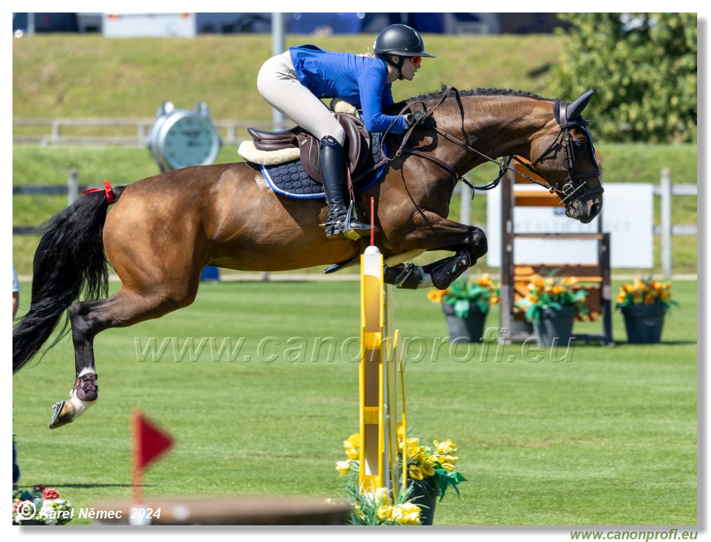 Danube Equestrian Festival - CSIO3* Gold Tour 