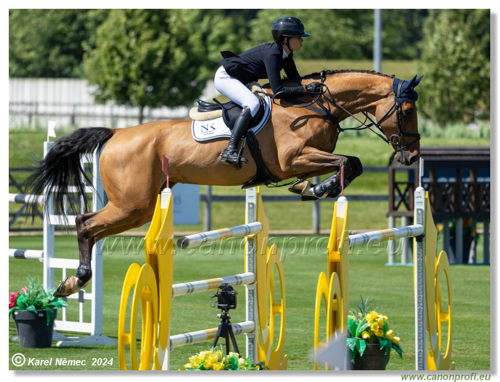 Danube Equestrian Festival - CSIO3* Gold Tour 