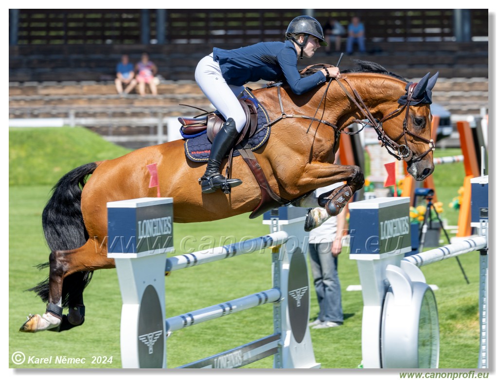 Danube Equestrian Festival - CSIO3* Gold Tour 