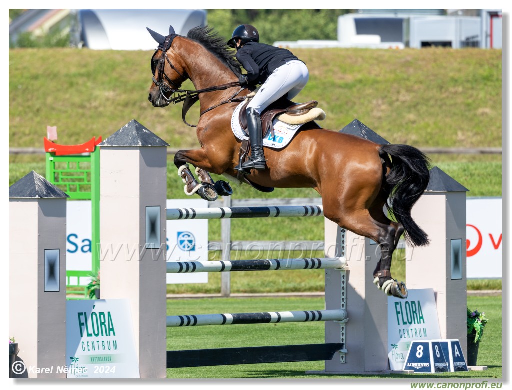 Danube Equestrian Festival - CSIO3* Gold Tour 