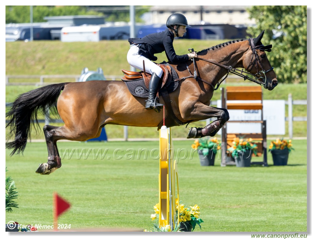 Danube Equestrian Festival - CSIO3* Gold Tour 