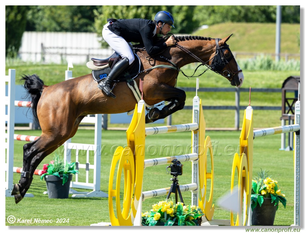 Danube Equestrian Festival - CSIO3* Gold Tour 