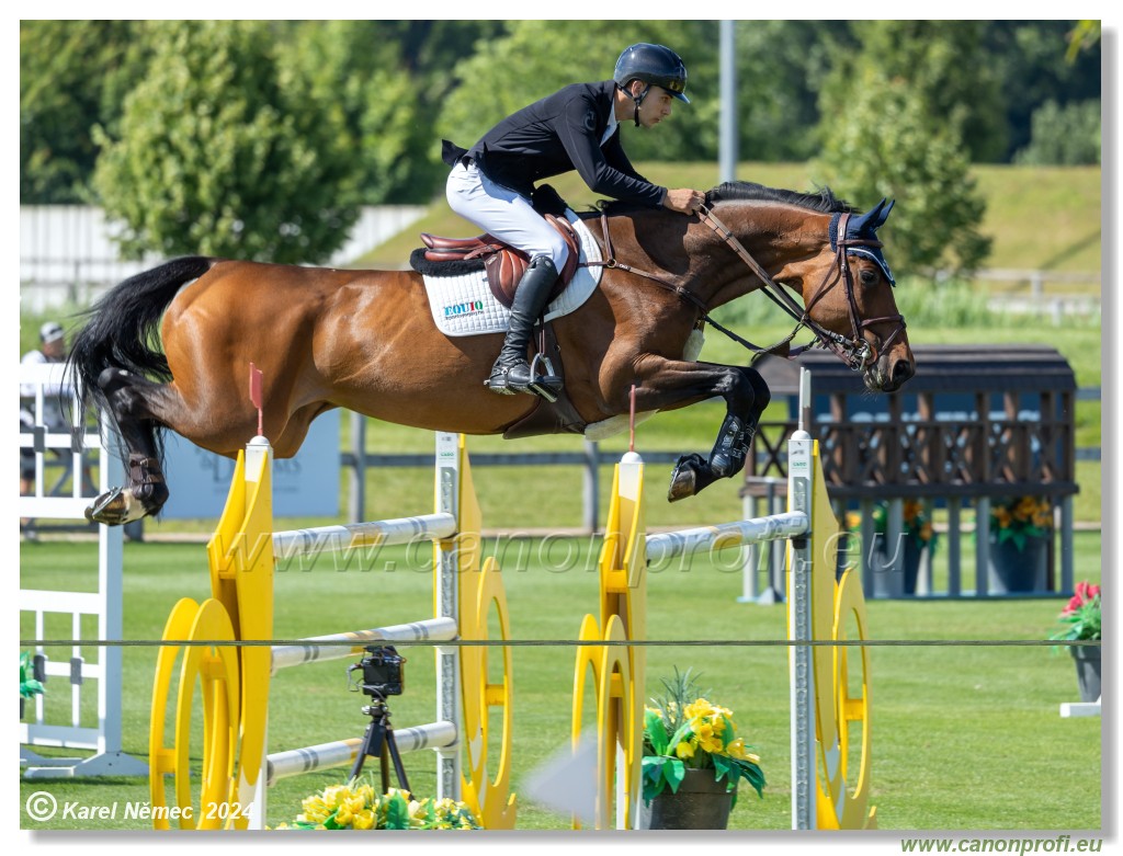 Danube Equestrian Festival - CSIO3* Gold Tour 