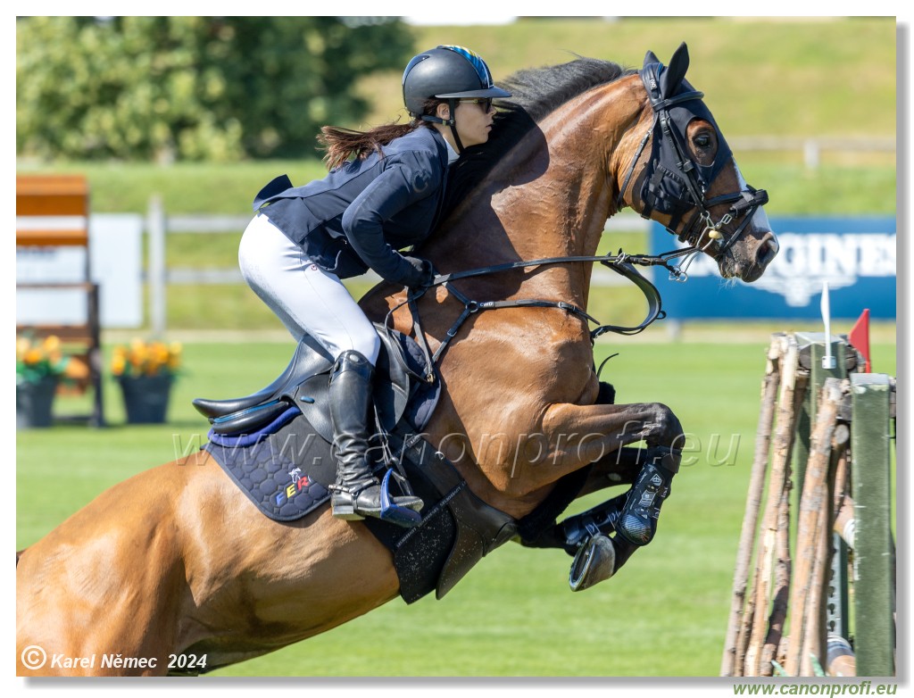 Danube Equestrian Festival - CSIO3* Gold Tour 