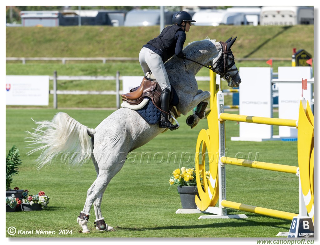 Danube Equestrian Festival - CSIO3* Gold Tour 