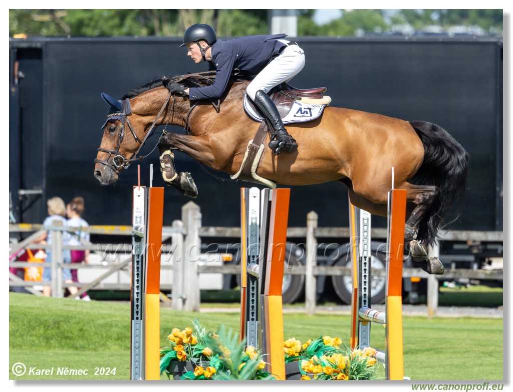 Danube Equestrian Festival - CSIO3* Gold Tour 