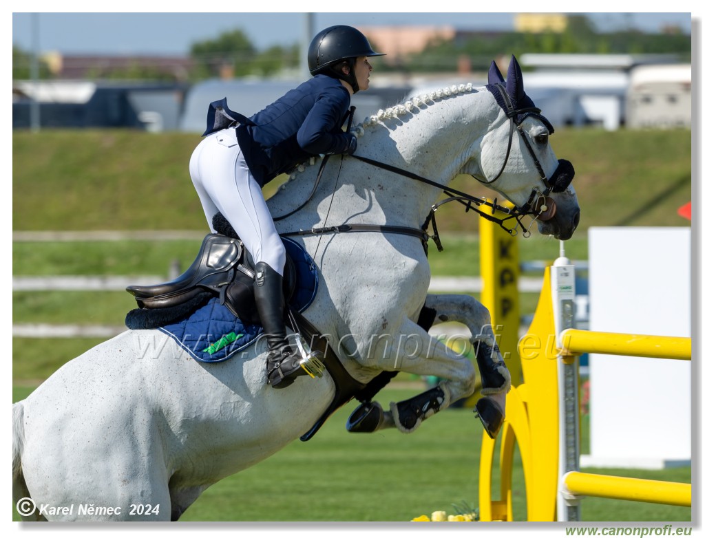 Danube Equestrian Festival - CSIO3* Gold Tour 