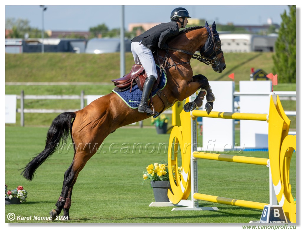 Danube Equestrian Festival - CSIO3* Gold Tour 