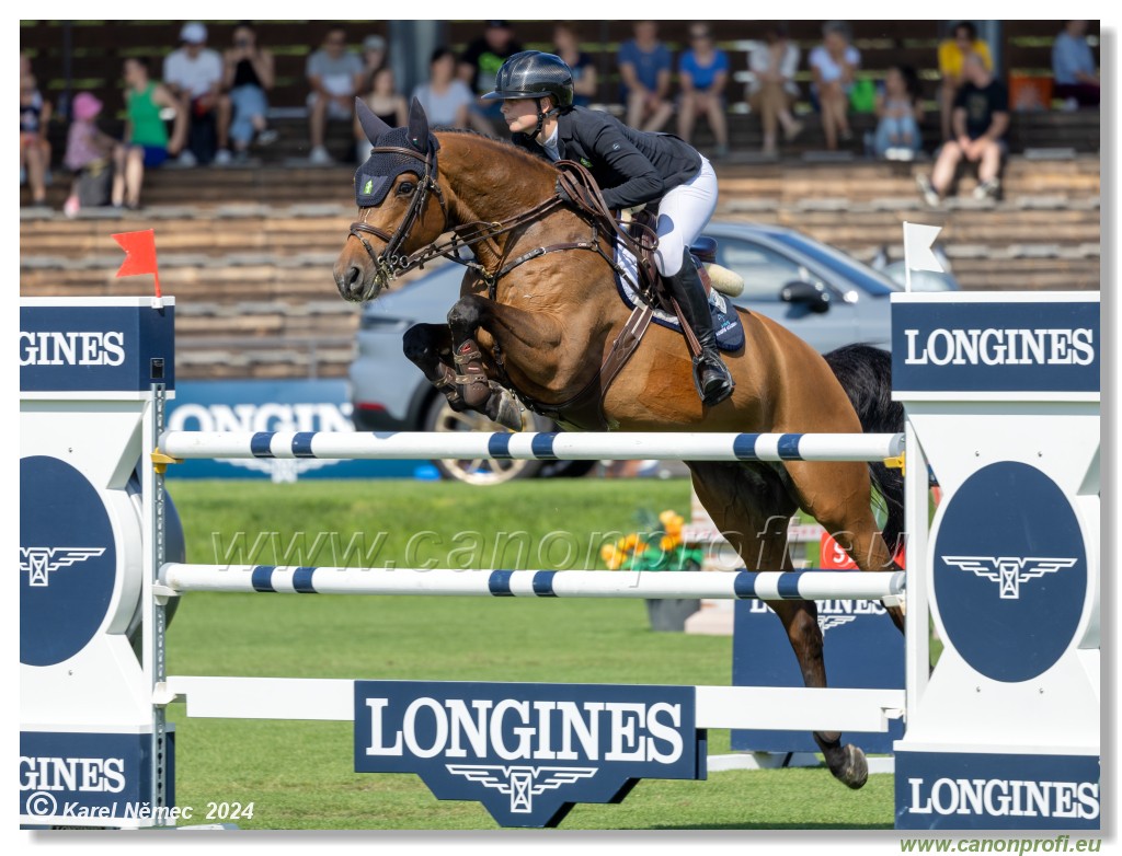 Danube Equestrian Festival - CSIO3* Gold Tour 