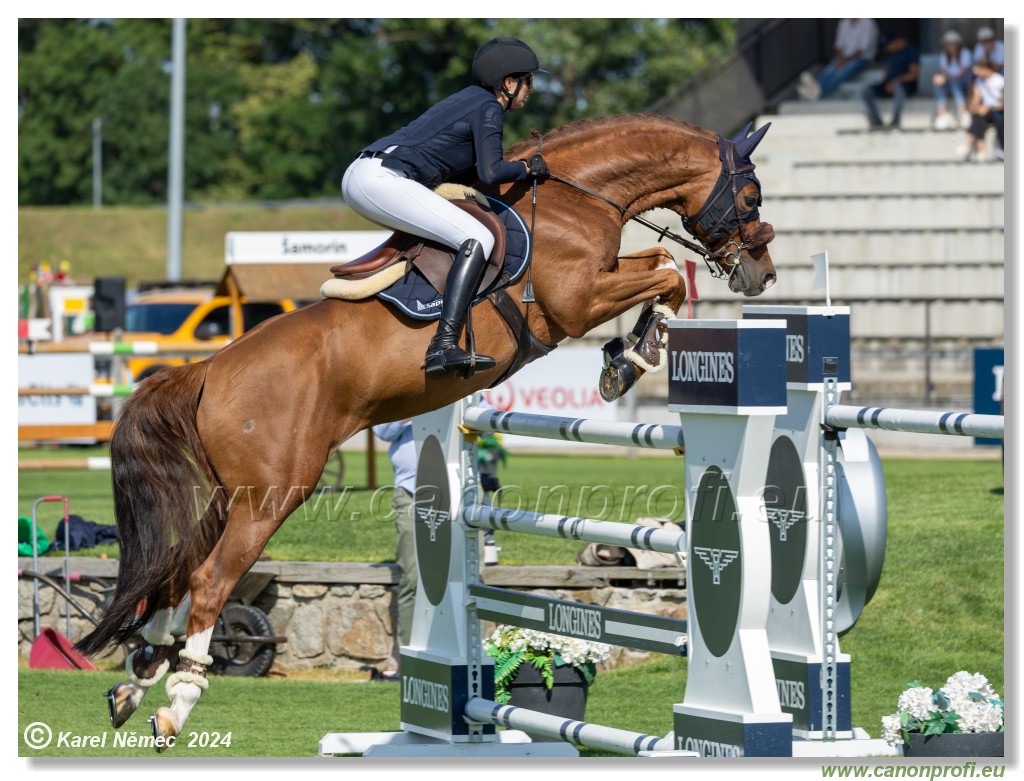 Danube Equestrian Festival - CSIO3* Gold Tour 