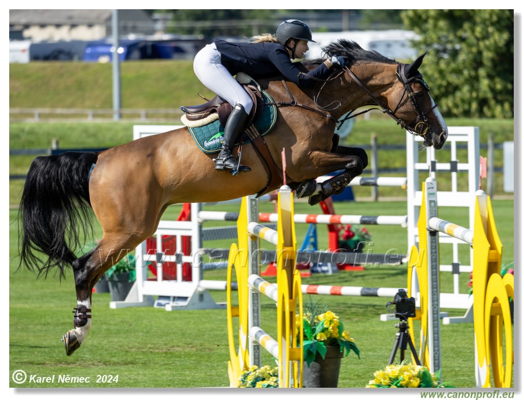 Danube Equestrian Festival - CSIO3* Gold Tour 