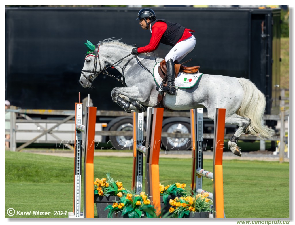 Danube Equestrian Festival - CSIO3* Gold Tour 