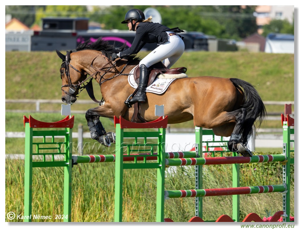 Danube Equestrian Festival - CSIO3* Gold Tour 