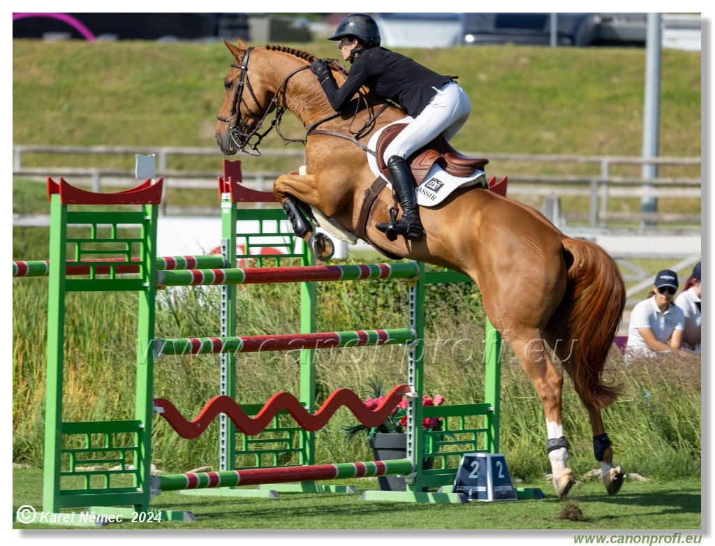 Danube Equestrian Festival - CSIO3* Gold Tour 