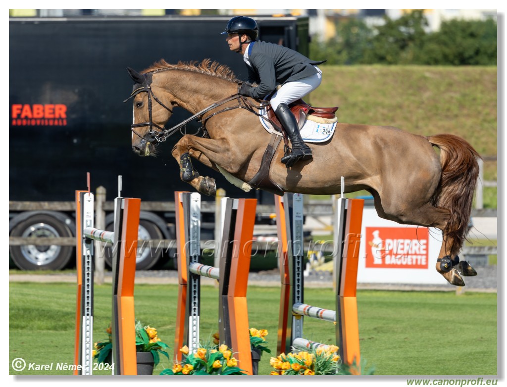 Danube Equestrian Festival - CSIO3* Gold Tour 