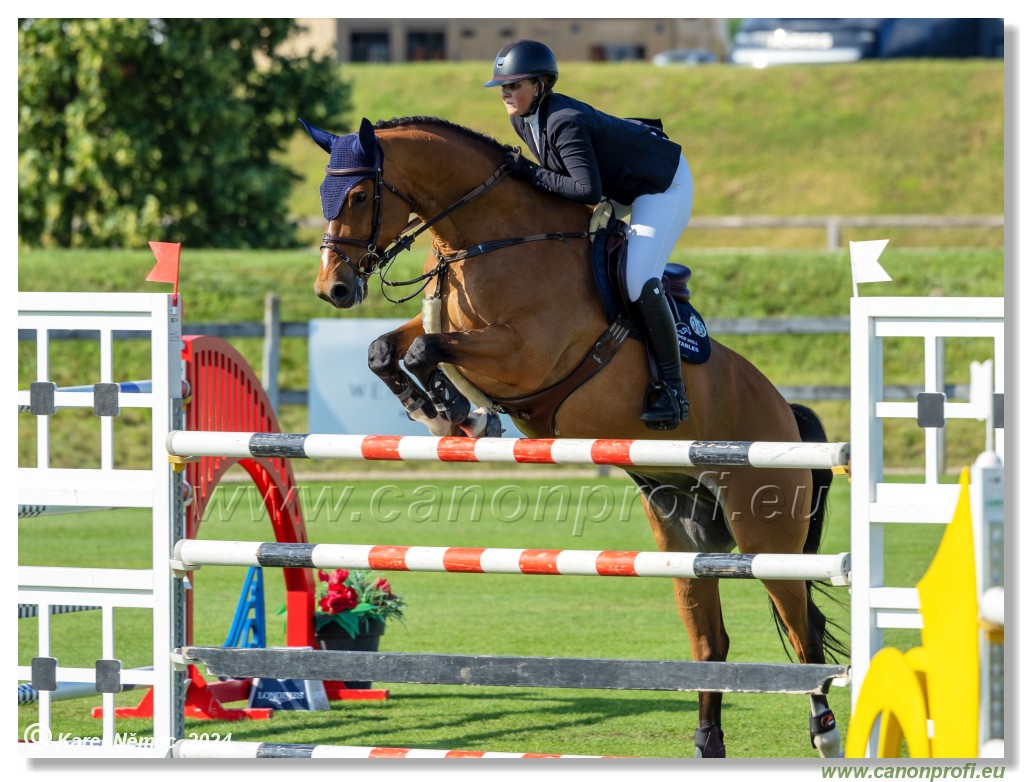 Danube Equestrian Festival - CSIO3* Gold Tour 