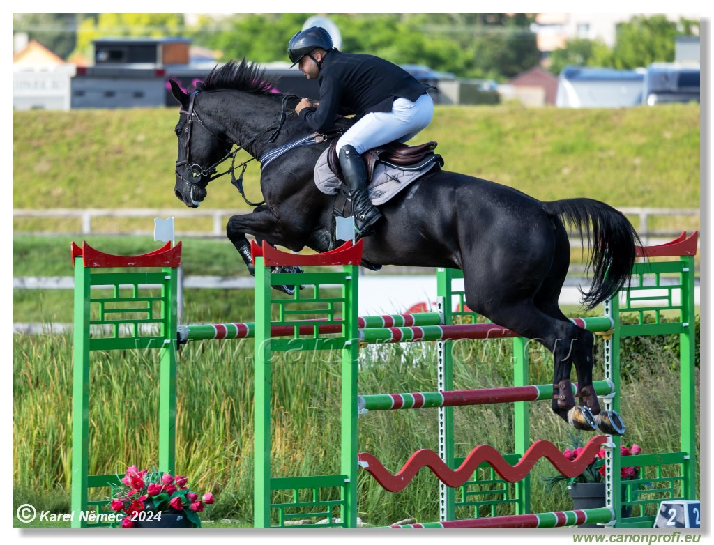 Danube Equestrian Festival - CSIO3* Gold Tour 