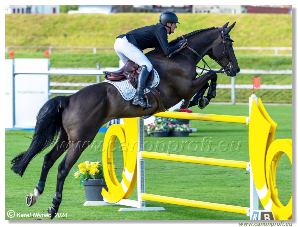 Danube Equestrian Festival - CSIO3* Gold Tour 