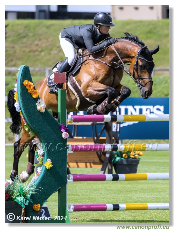 CSIO3* Grand Prix of �amor�n 155 cm